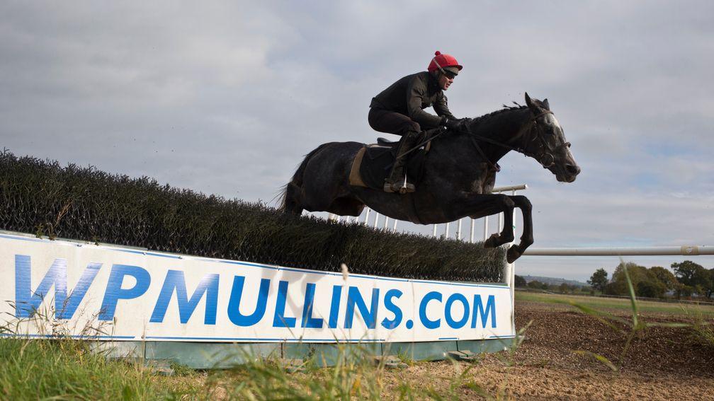 Bleu Et Rouge: won over hurdles and fences when with Willie Mullins