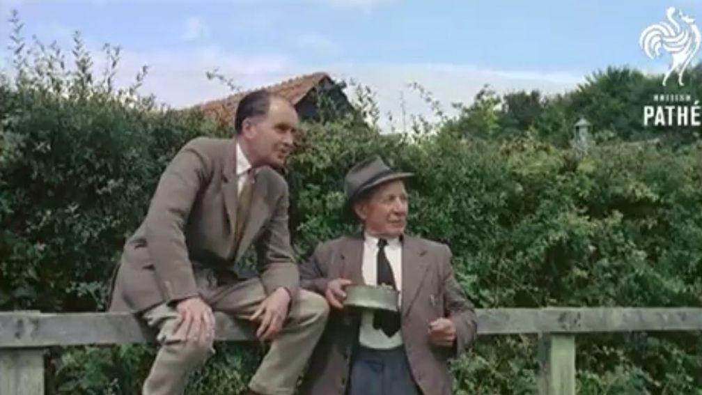 Donald McGee and Tom Lynch at the Irish National Stud in newsreel footage from 1957