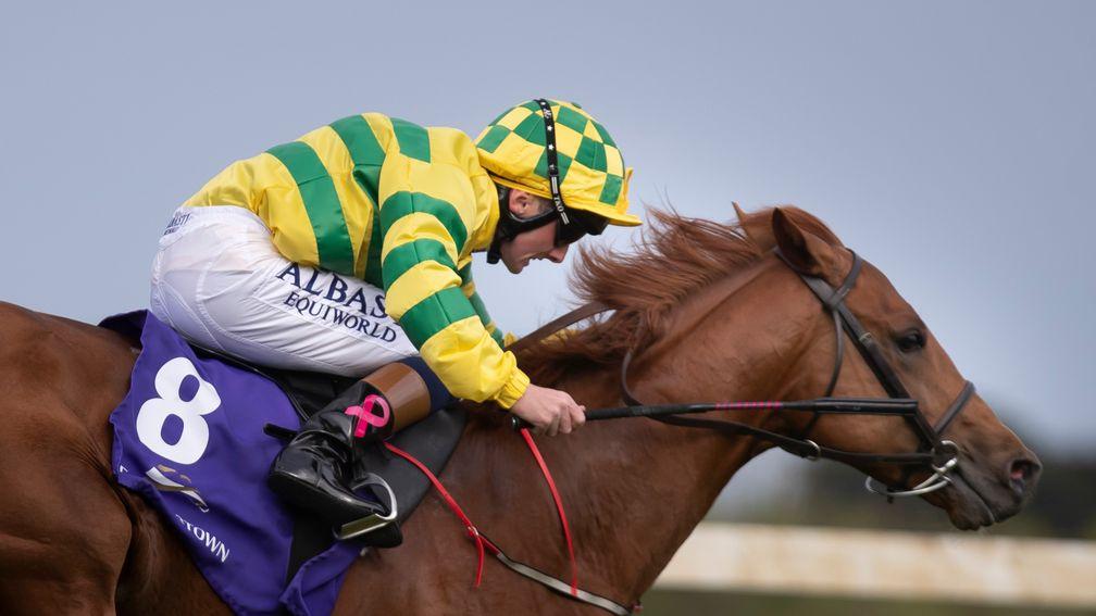 Sale-topper: Mohican Heights makes a winning debut at Leopardstown