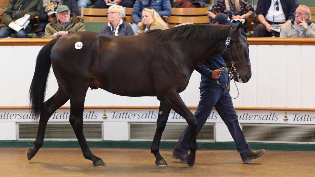 A Sea The Stars colt out of Lopera more than doubled his money at Tattersalls in a few months