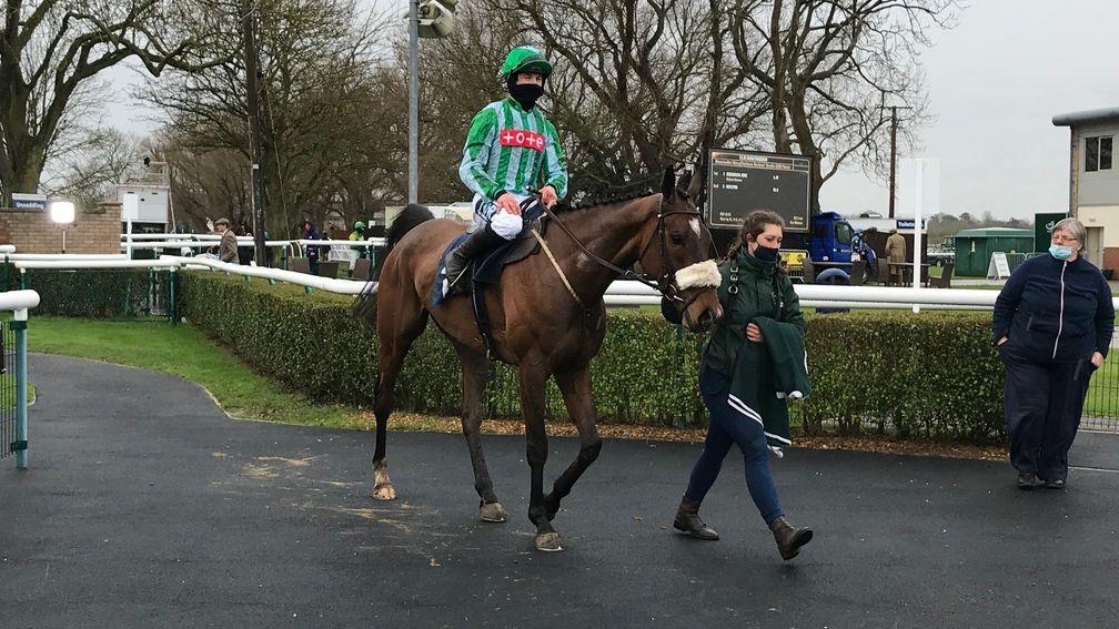 Solwara One: may have finished closer at Aintree bar for a shuddering error