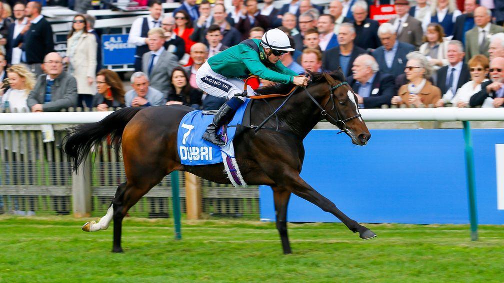 Limato: back to winning ways in Listed company at Newmarket last time