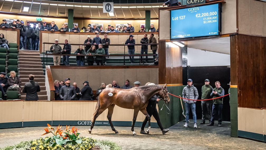 Goffs: the Orby Sale will now take place on September 30 and October 1