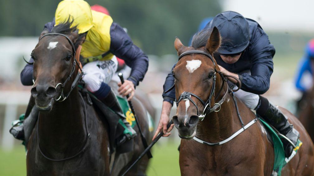 Nebo (left) is outpointed by Guineas favourite Gustav Klimt in the Superlative Stakes at Newmarket