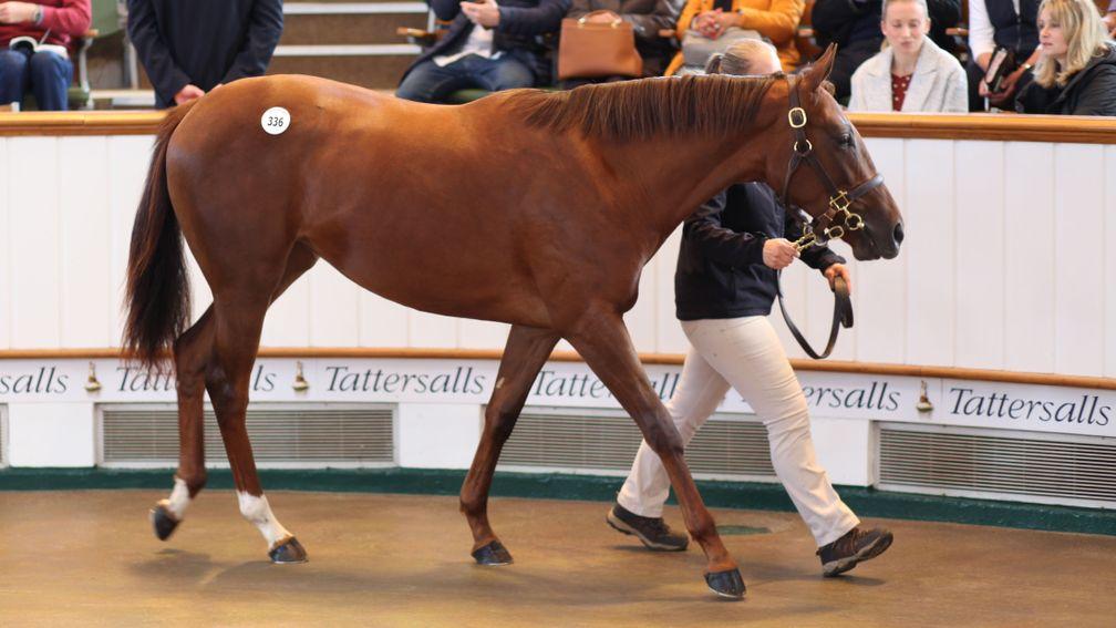 The 1,250,000gns Dubawi filly sells to Al Shira'aa Farms