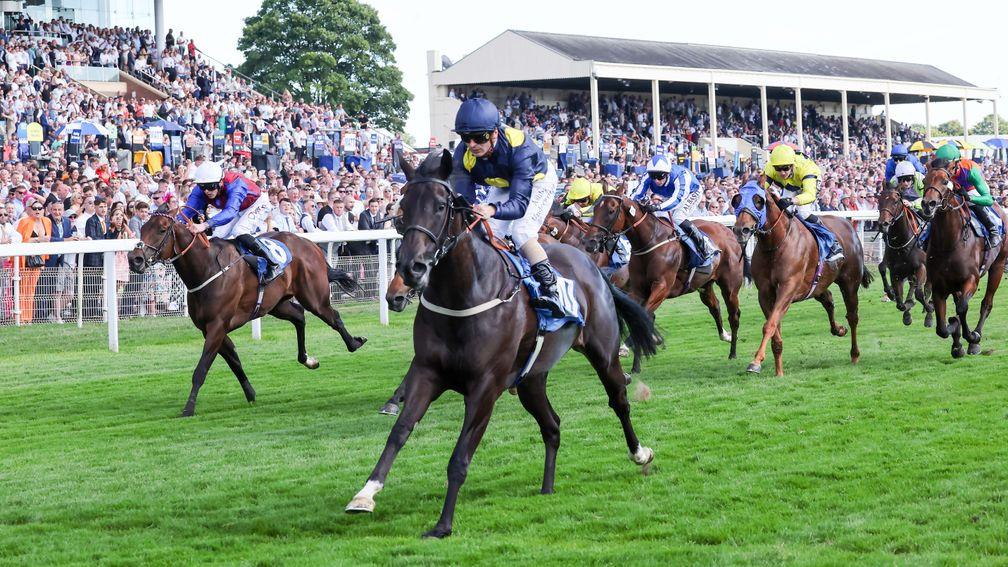 Royal Aclaim: a course-and-distance winner having landed the City Walls Stakes