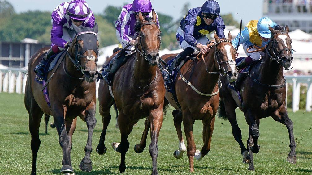 Rumstar (right): Newbury option for the sprinter