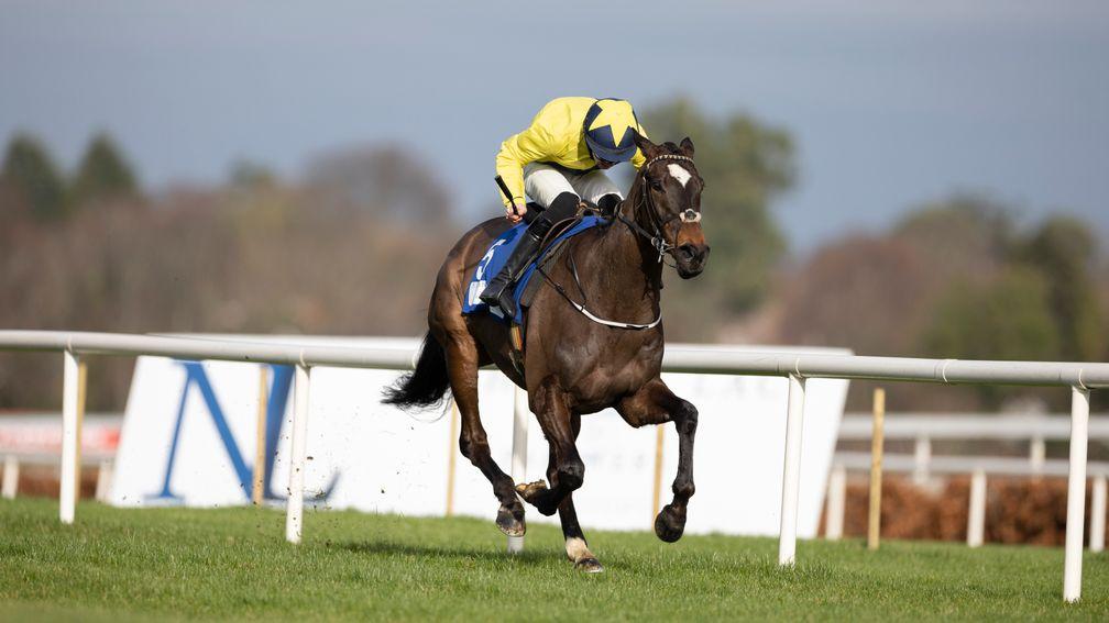 Good Land: won the opener at the Dublin Racing Festival