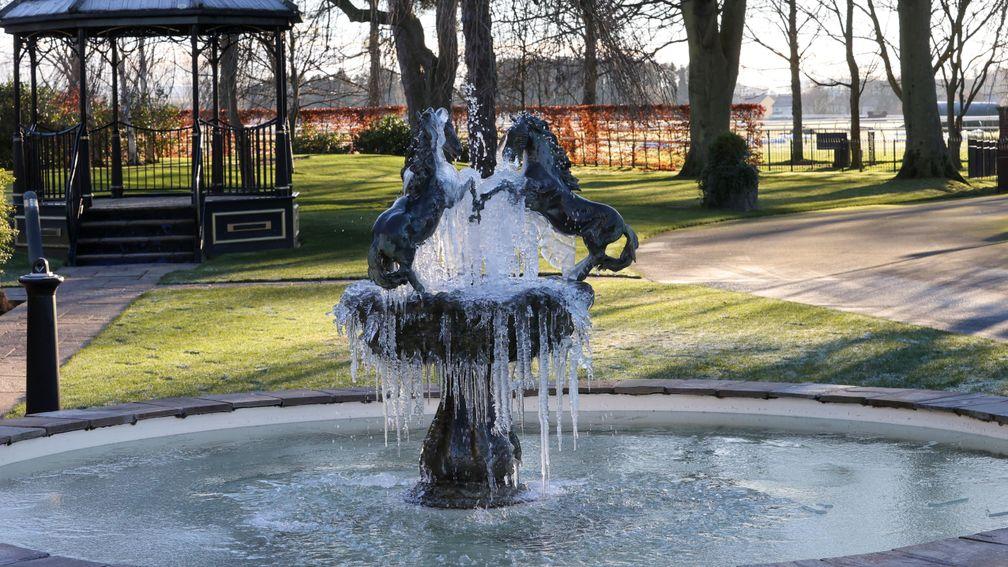 A water feature was beautifully frozen at Ayr, but Wednesday's fixture has been cancelled