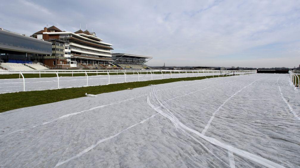 Newbury: frost covers are covering the whole track
