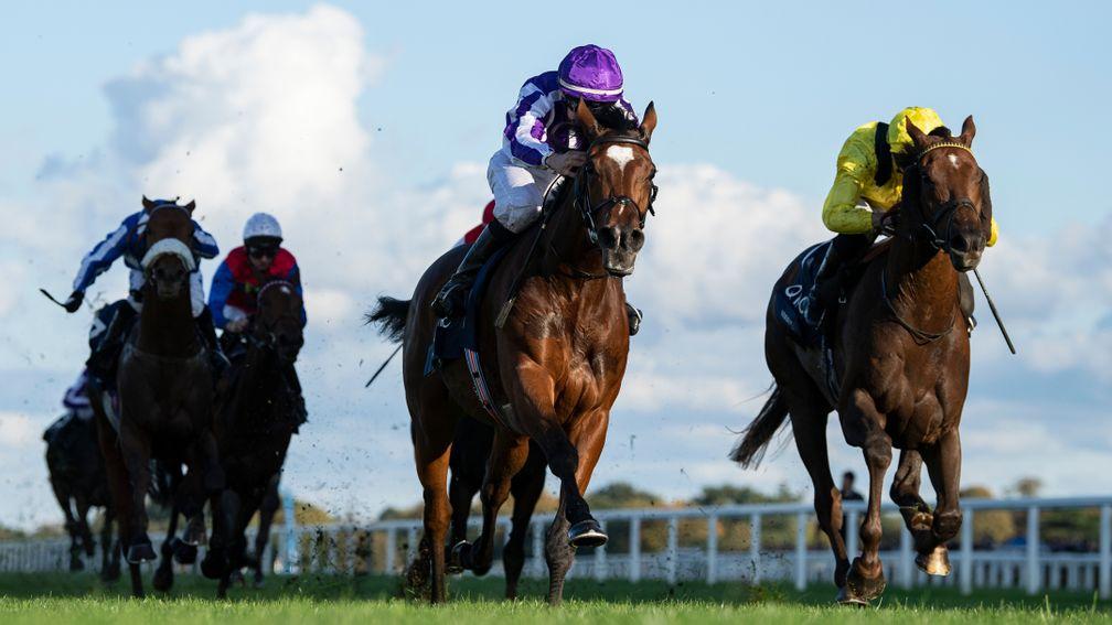 Magical (centre) beats Addeybb (right) in the Champion Stakes at Ascot in October