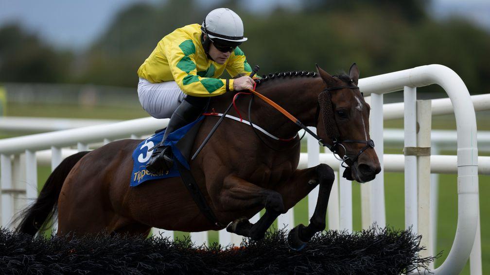 Effernock Fizz: remarkable performance in the feature Rybo Handicap Hurdle