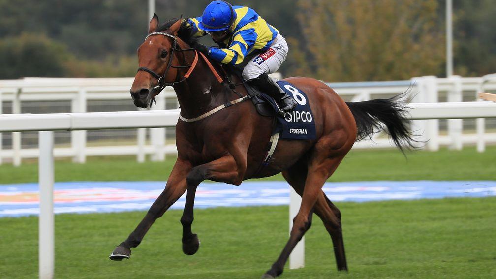On his own: Trueshan gallops to the line in splendid isolation at Ascot