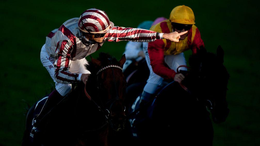 Cirrus Des Aigles (stripes) and Enable are two rare top class Flat horses to have won Group 1s at the age of six