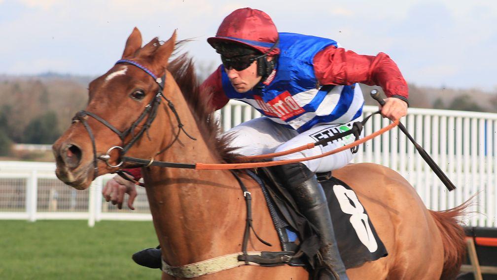 Tritonic: won twice over hurdles before finishing fifth in the Triumph