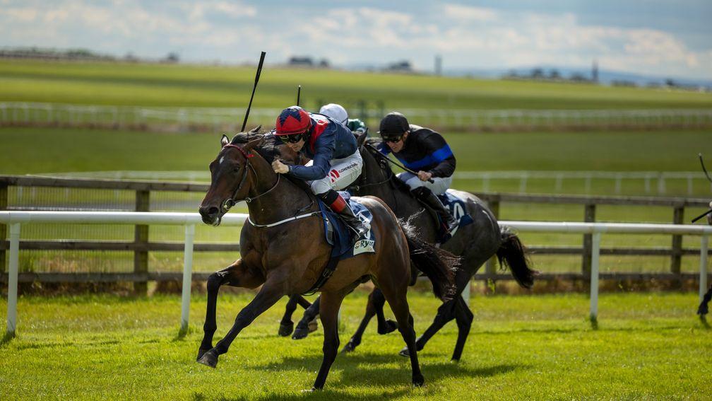 Crypto Force: impressed when winning on his debut at the Curragh earlier this month