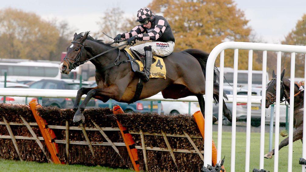 Ch'Tibello: Kingwell runner-up could take his chance in the Champion Hurdle