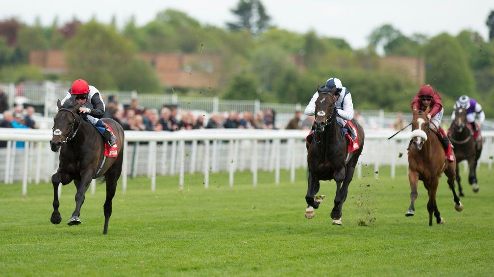 Golden Horn (left) storms home from Jack Hobbs (centre) and Elm Park