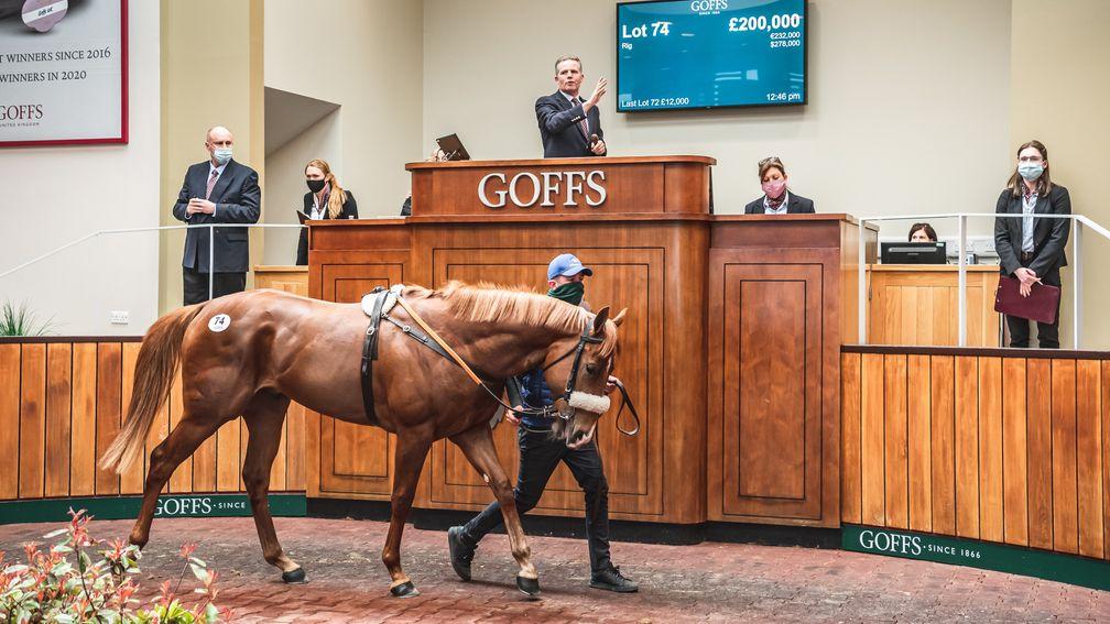 The No Nay Never colt consigned by Mocklershill who went the way of Blandford Bloodstock for £200,000