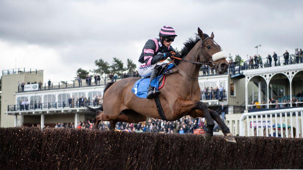 Kupatana carries the Grech and Parkin silks to victory at Ludlow