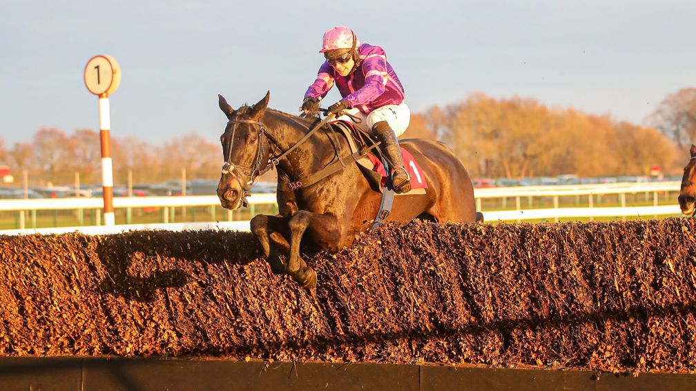 Cobolobo: a winner at Haydock before disappointing at Newbury last time