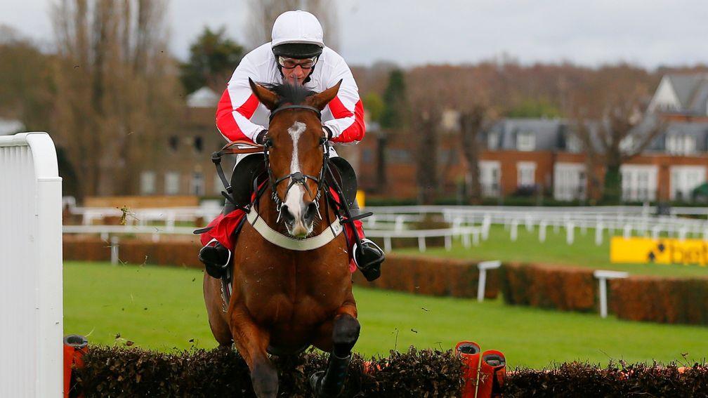 Goshen: saunters clear of his rivals in the juvenile hurdle at Sandown