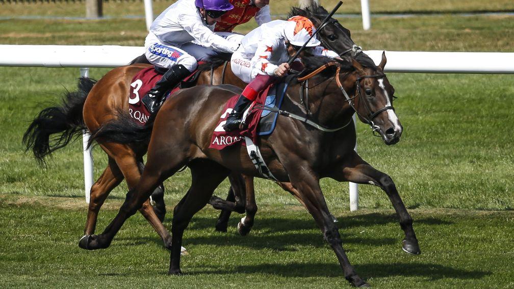 Advertise begins to assert in the Group 2 July Stakes