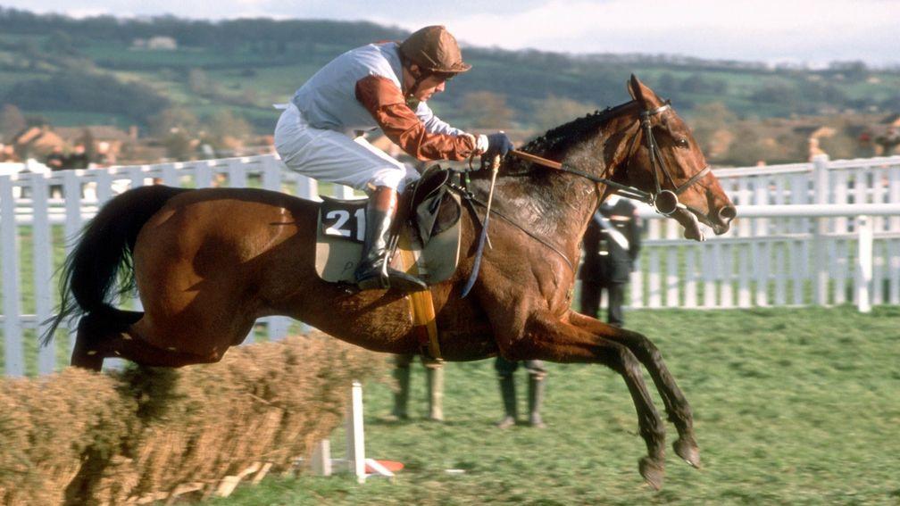 Keightley won the Coral Golden Hurdle Final at Cheltenham on Rogers Princess in 1989