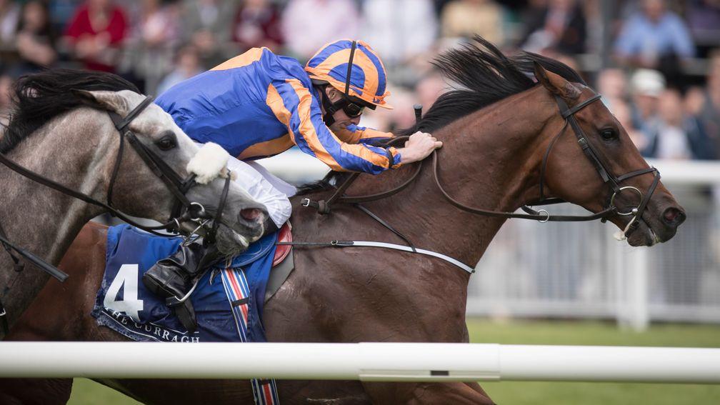 Johannes Vermeer wins the International Stakes and is a possible for the Caulfield Cup