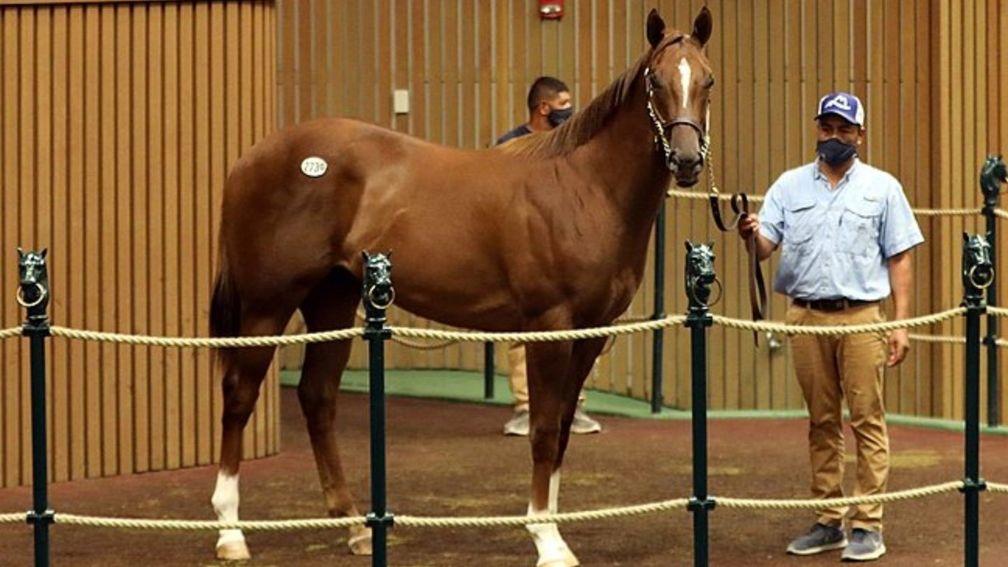 A Not This Time colt topped the bill at $320,000
