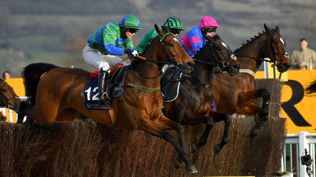 It Came To Pass (nearside): on course for Cheltenham