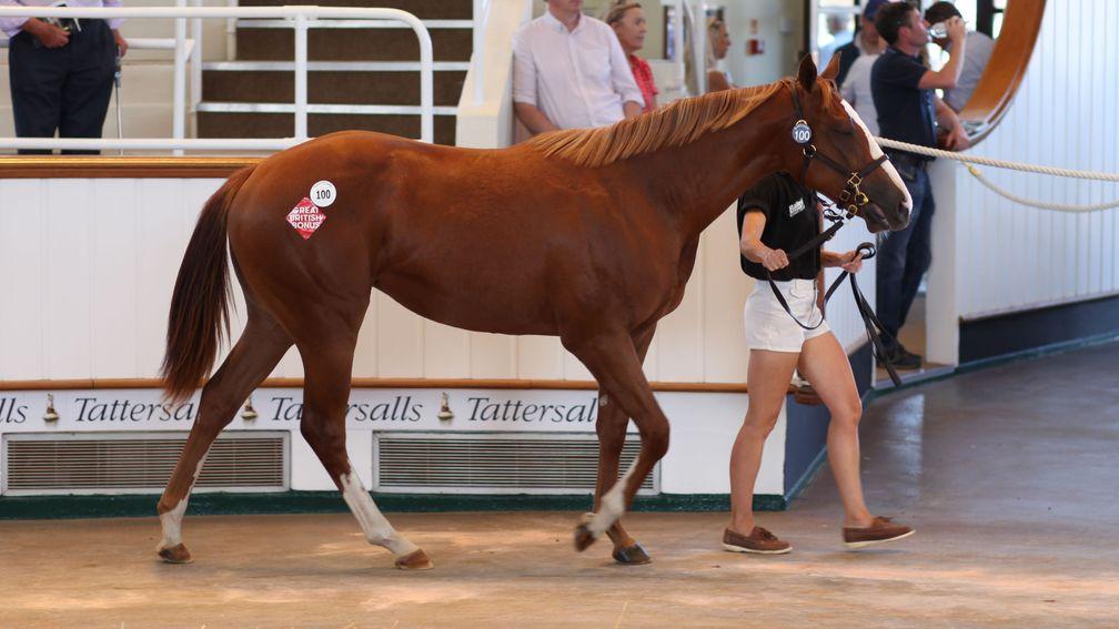 Lot 100: the Tasleet filly bought by Robson Aguiar for 75,000gns
