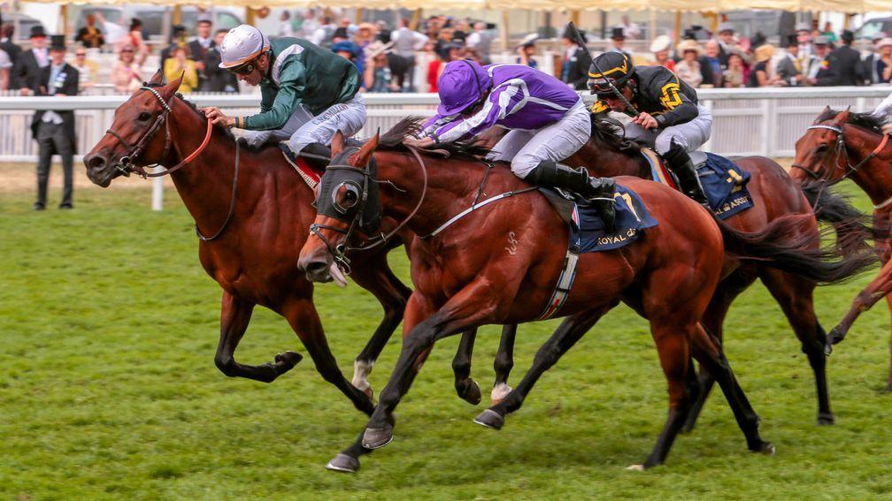 Merchant Navy (purple) holds off the late charge of City Light to land the Diamond Jubilee Stakes