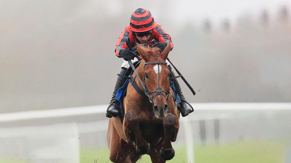 Midnight River on his way to recording his second success for Dan Skelton at Leicester