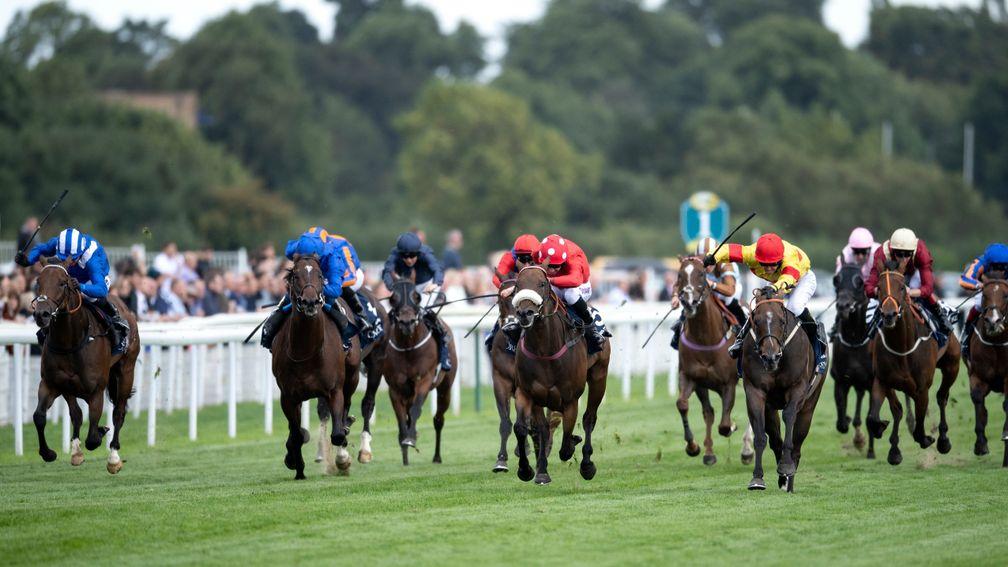 Battaash (far left) cannot go with Alpha Delpini, Mabs Cross and Blue Point as things get serious in the Coolmore Nunthope