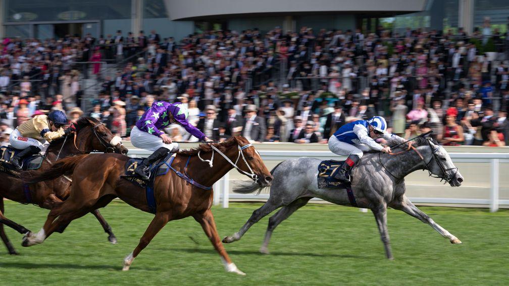 Dark Shift (grey): could step into Group company at Salisbury on Thursday