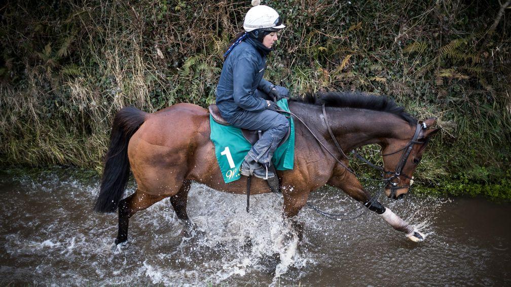 Un De Sceaux (Virginie Bascop) in the stream at Closutton: Ben Keith wants to keep the Ryanair Chase favourite on side