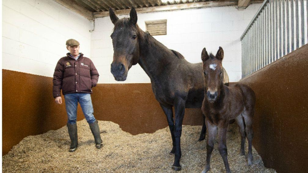 David Redvers with Lightening Pearl and her Kingman filly
