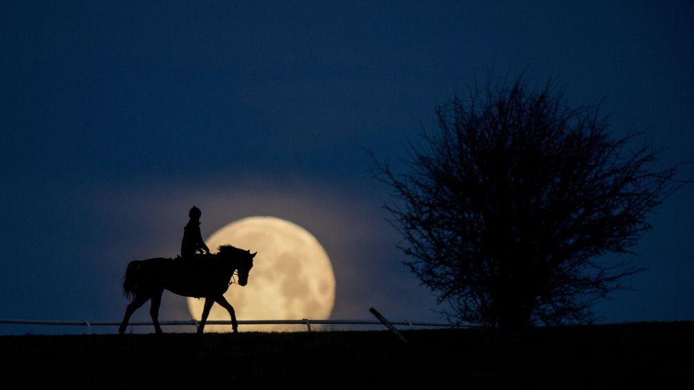 February: Super blue blood moon – the night of January 31/February 1, saw the rising and setting of the ‘Super Blue Blood Moon’ which only happens every 150 years. Best of all was it was a clear night, so at 6am I was on the gallops at Lambourn