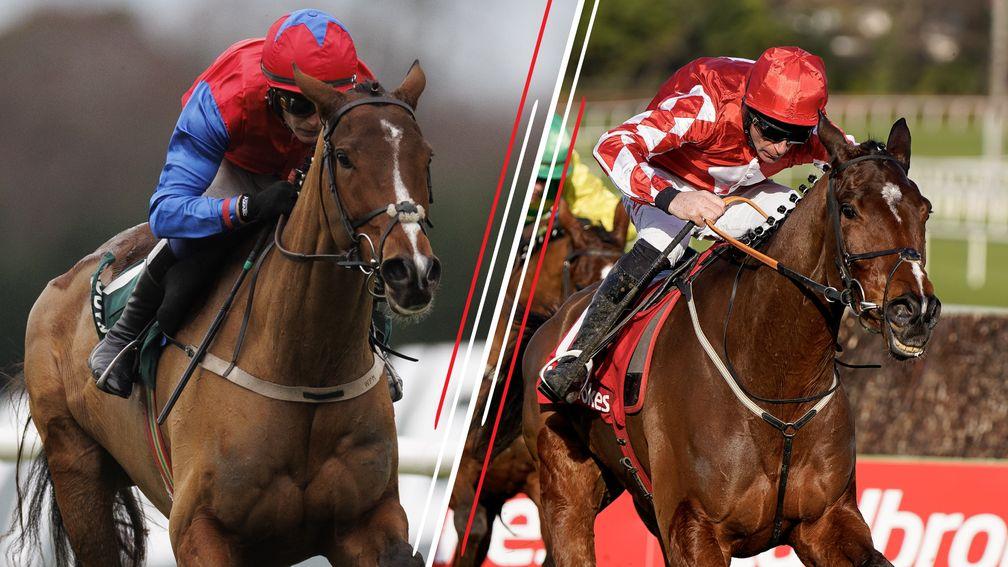 Facile Vega (left) and Mighty Potter: two well-fancied runners at the Cheltenham Festival