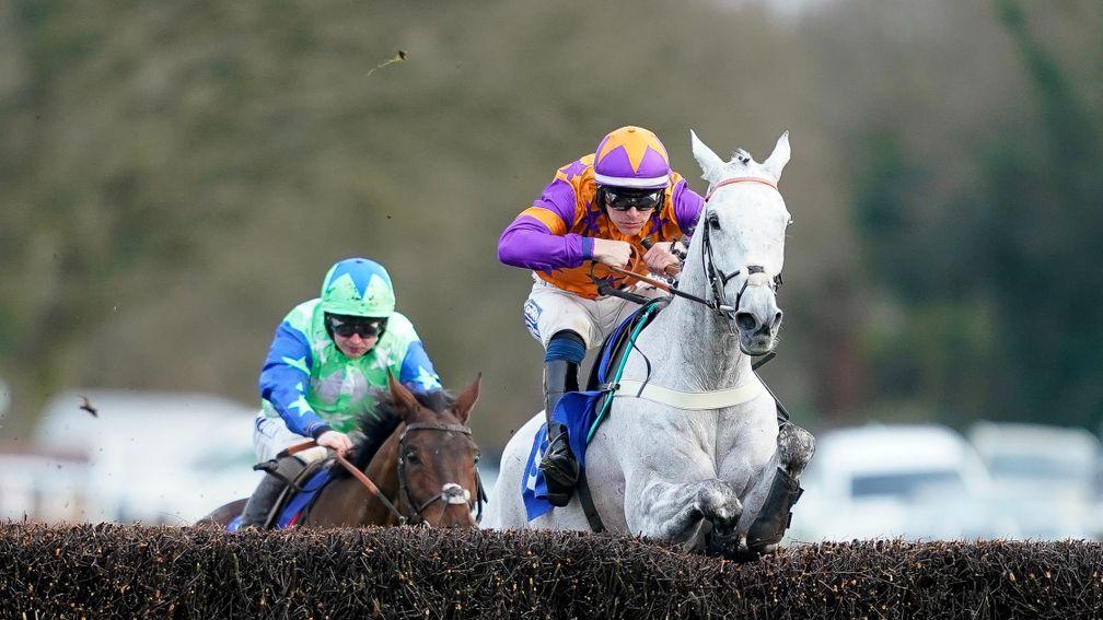 Tide Times: popular grey will aim for another success at Ludlow