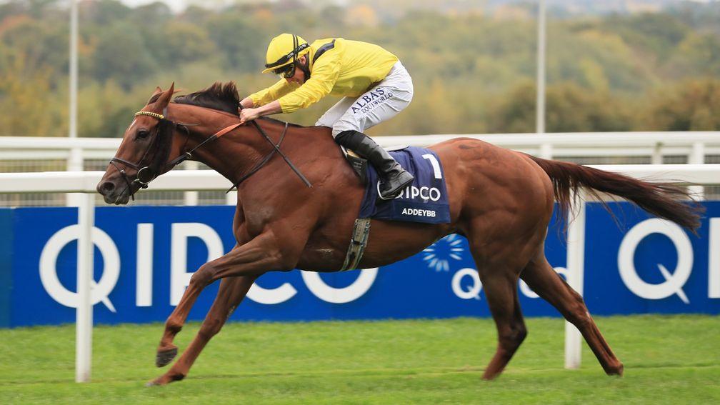 Addeybb: four-time Group 1 winner makes his seasonal reappearance in the Brigadier Gerard Stakes at Sandown on Thursday