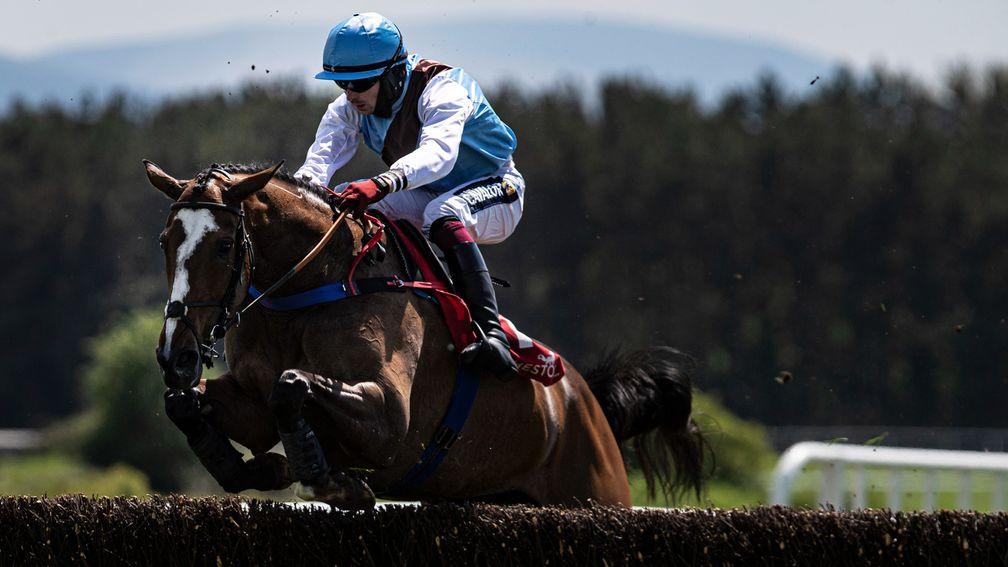 Politesse: now a five-time winner after scoring at Galway on Sunday