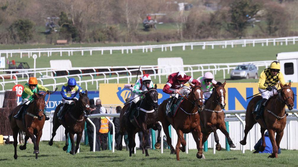 British and Irish hurdlers and chasers between the ages of three and five will benefit from the same allowances at next year's Cheltenham Festival