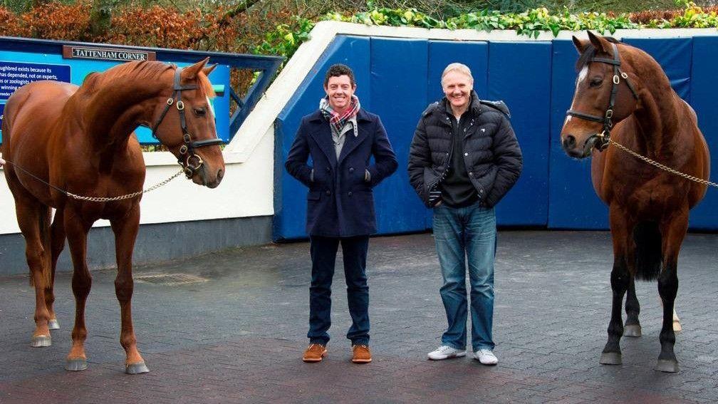 Joe Schmidt (right): pictured visiting Coolmore Stud alongside Rory McIlroy