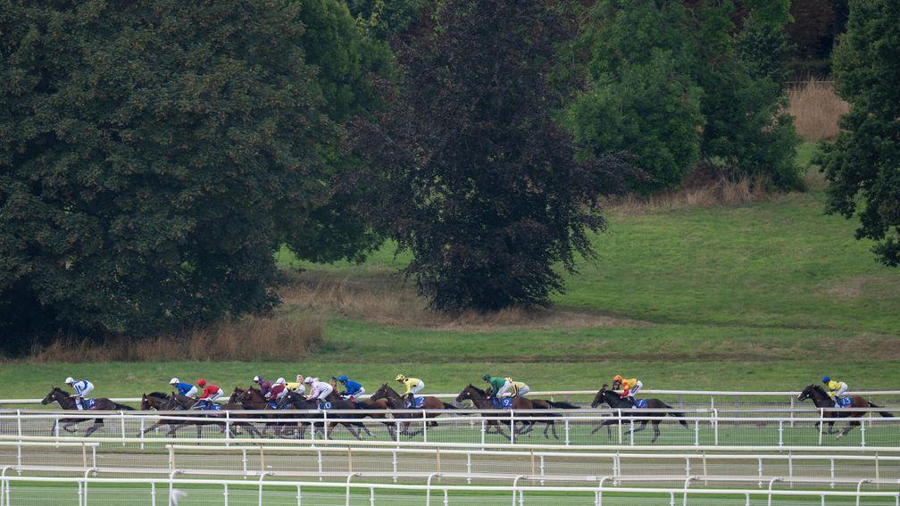 Runners in the Melrose Stakes race down the back straight with the winner Soulcombe (Hollie Doyle) in last placeYork 20.8.22 Pic: Edward Whitaker