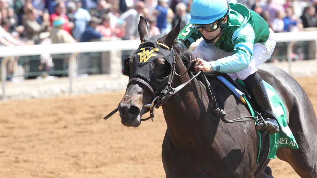 Keeneland: stages this year's Breeders' Cup