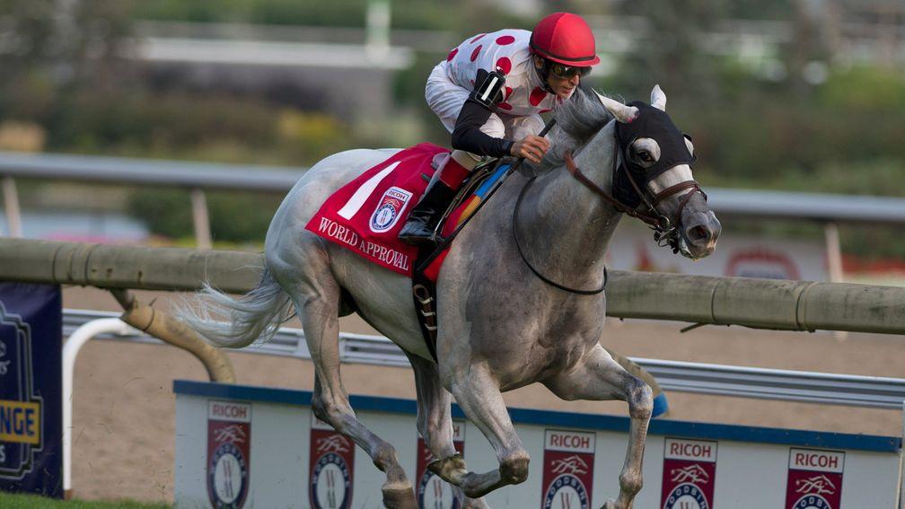 World Approval storms clear to win at Woodbine
