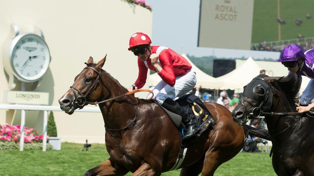 Le Brivido: former Jersey Stakes winner finished fifth in the Queen Anne Stakes on Tuesday