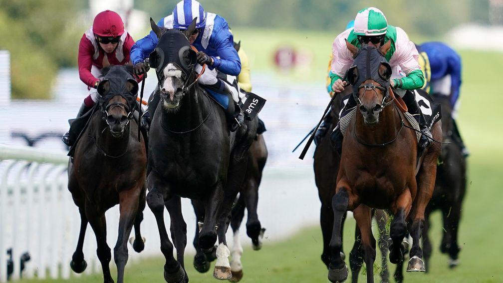 Duke Of Hazzard (right): ran up a fine sequence last season including a pair of Group-race wins at Goodwood